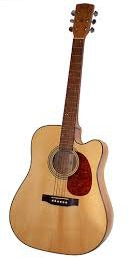 cutaway acoustic guitar