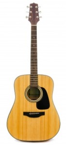 traditional acoustic guitar